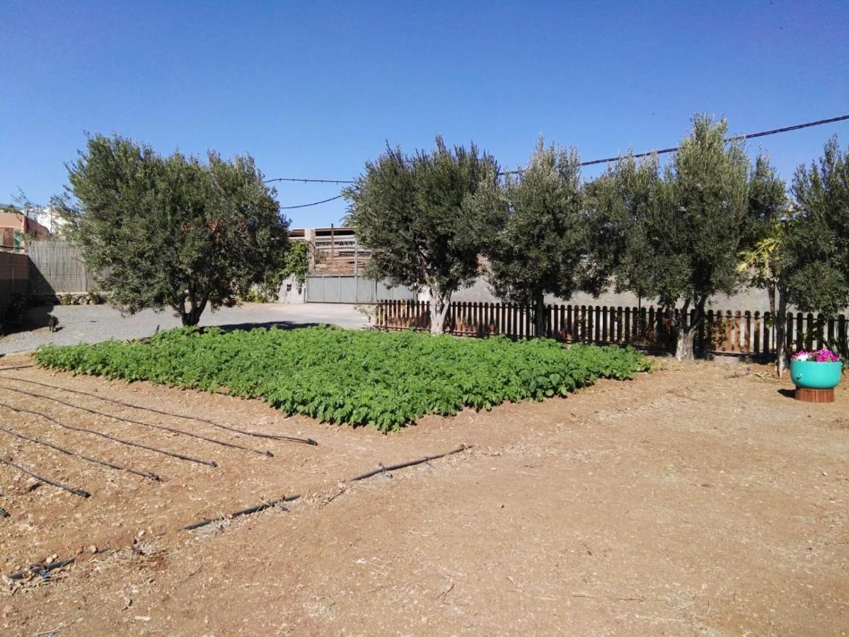 Willa La Casita Del Naranjo Agüimes Zewnętrze zdjęcie