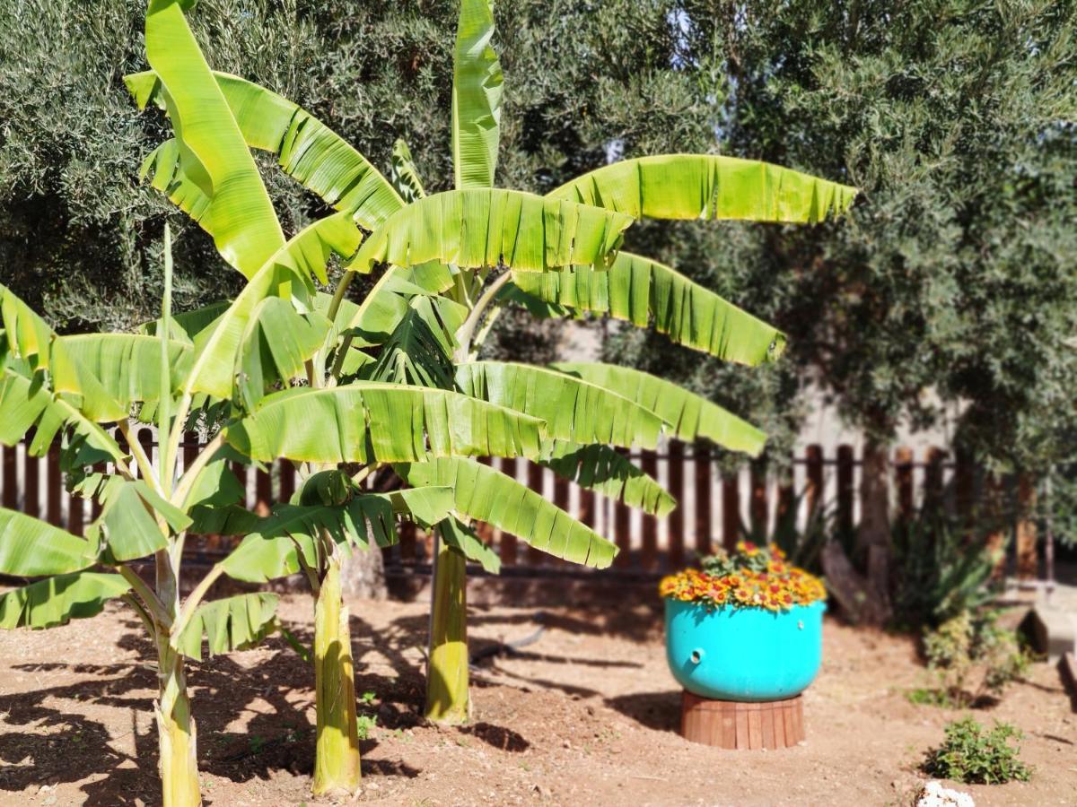Willa La Casita Del Naranjo Agüimes Zewnętrze zdjęcie