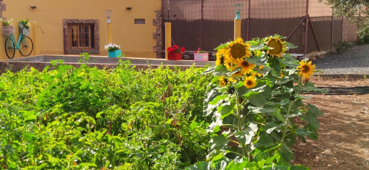 Willa La Casita Del Naranjo Agüimes Zewnętrze zdjęcie